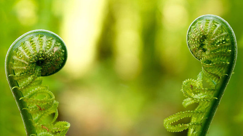 Individuelles Einzelcoaching in Berlin, Köln und München