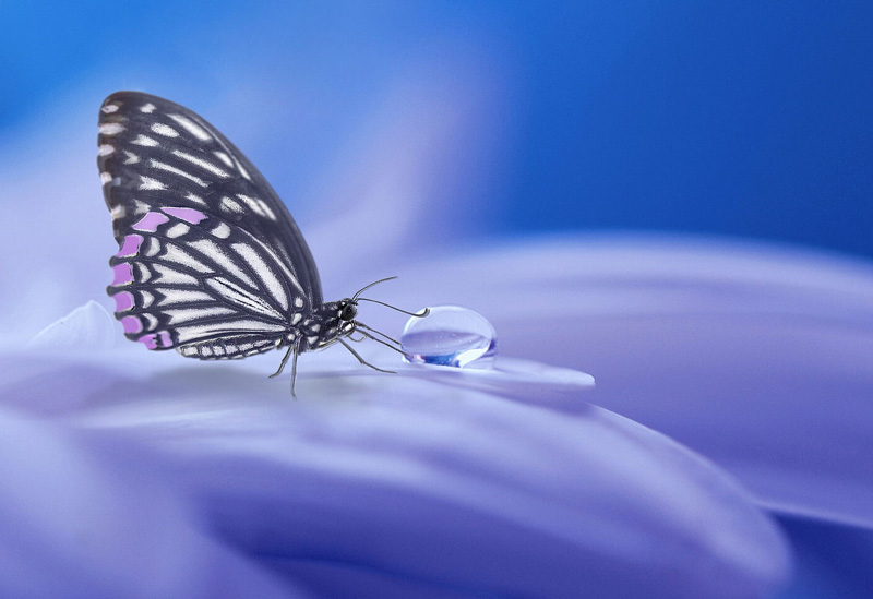 Hypnosecoaching in Berlin