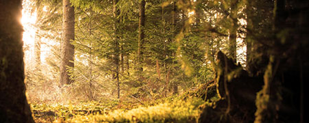 Seminar The Work nach Byron Katie in Berlin