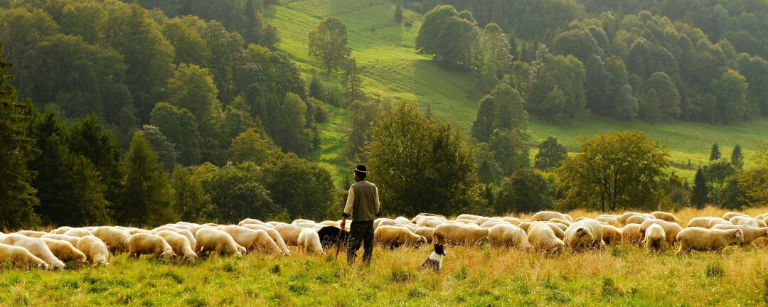 Ego State Coaching-Ausbildung in Berlin