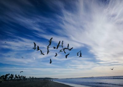 Virginia Satir: Was können wir von einer der bedeutendsten Familientherapeutinnen lernen?