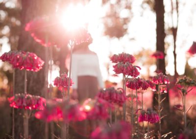 Resolving Grief: Umgang mit Trauer & Verlust