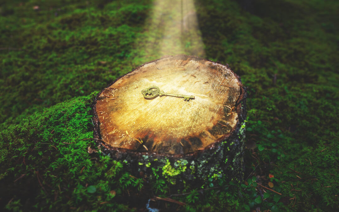 Die Geheimnisse wirksamer Coachings