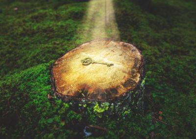 Die Geheimnisse wirksamer Coachings