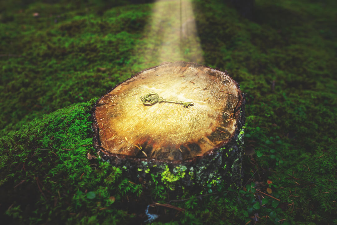 Wirksamkeit im Coaching