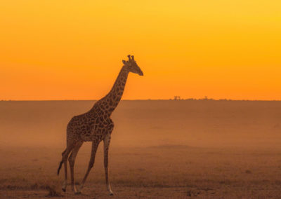Empathisch in Verbindung treten