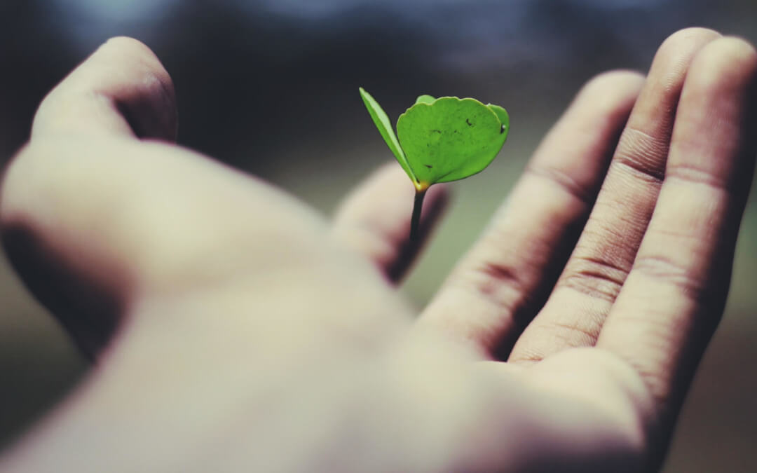 Neu in Berlin & Online: GFK-Coachausbildung