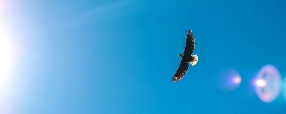 Sedona Releasing Workshop