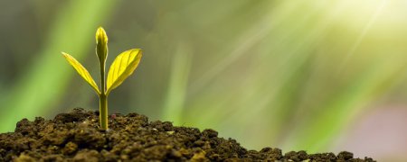 Ausbildung Positive Psychologie Berlin