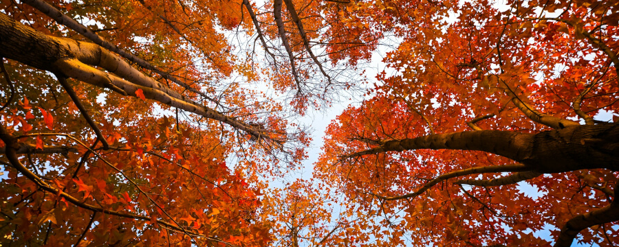 GFK-Jahresausbildung in Berlin