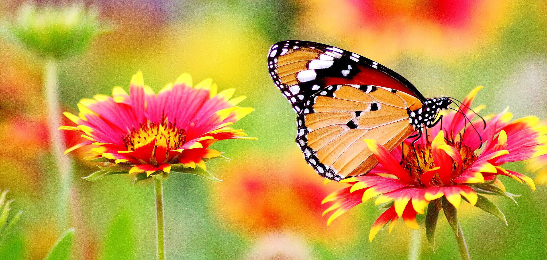 The Work nach Byron Katie (vtw) Seminar Ausbildung Weiterbildung Berlin