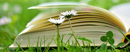 SpeedReading in Berlin Schneller lesen leichter lernen