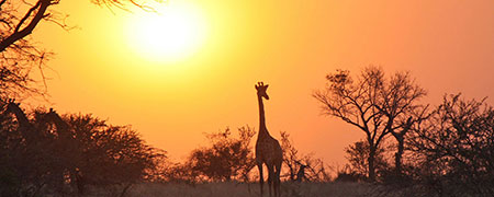 Zertifizierte online GFK-Ausbildung