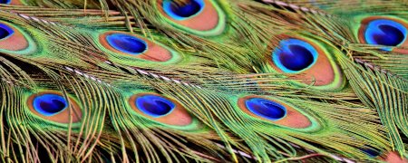 Eye Movement Work-Ausbildung Berlin EMDR EMI