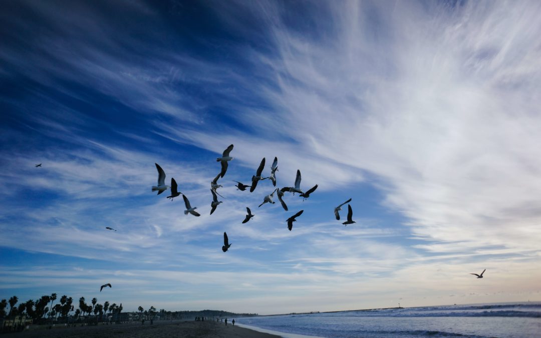 Virginia Satir: Was können wir von einer der bedeutendsten Familientherapeutinnen lernen?