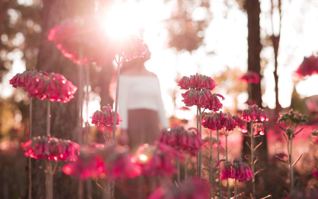 Resolving Grief: Umgang mit Trauer & Verlust