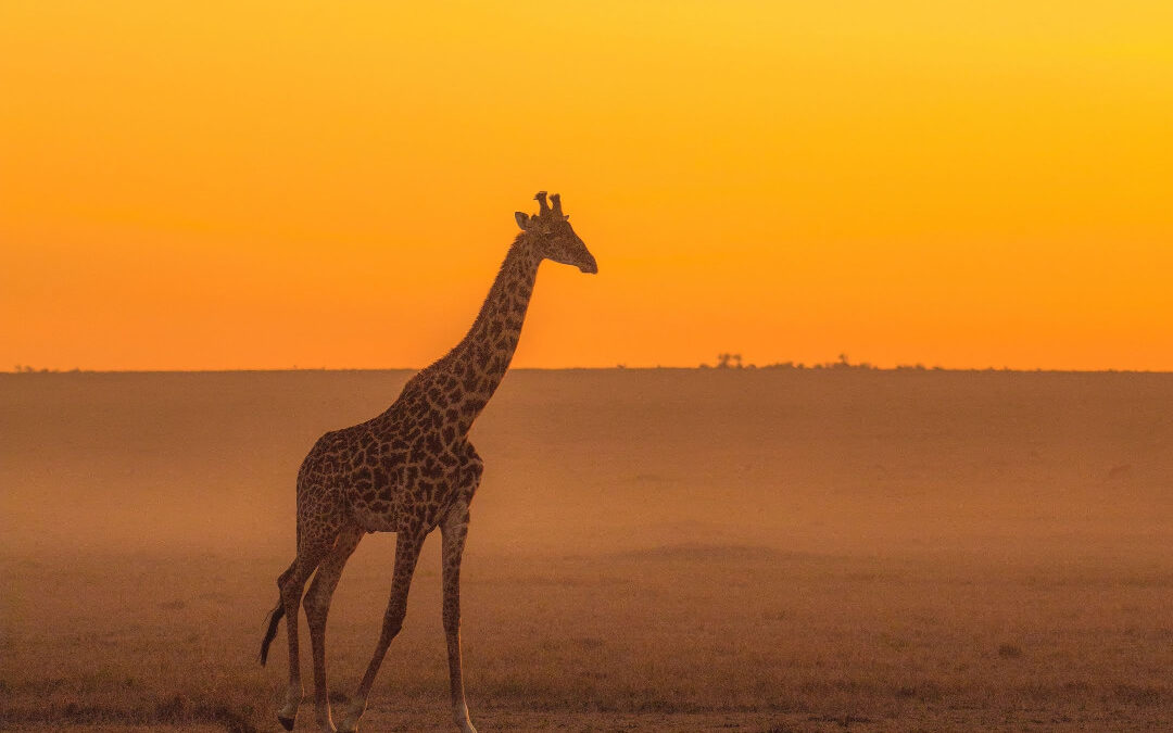 Empathisch in Verbindung treten