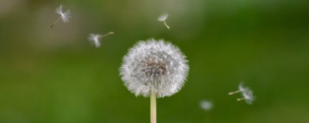 Seminar Storytelling Berlin